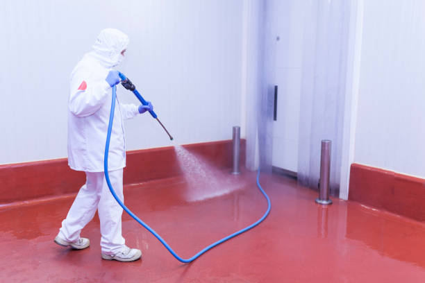 Best Paint Preparation  in West Bend, WI